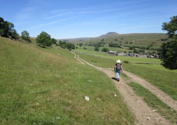 The fine path leading down to Little Stainforth with Penyghent on skyline.