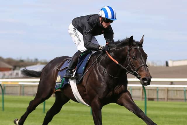 Elarqam is hoping to make up for lost time at Salisbury. PIC: Nigel French/PA Wire