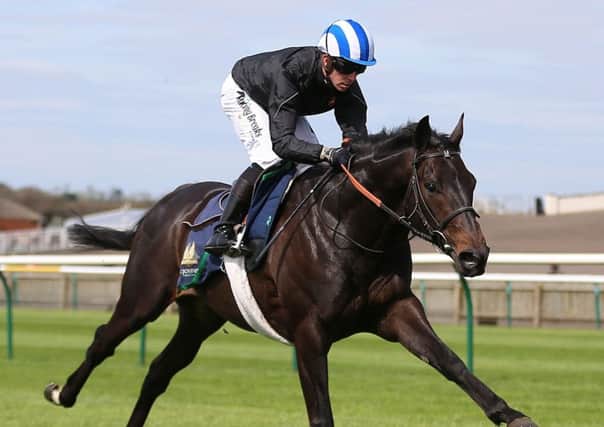 Elarqam is hoping to make up for lost time at Salisbury. PIC: Nigel French/PA Wire