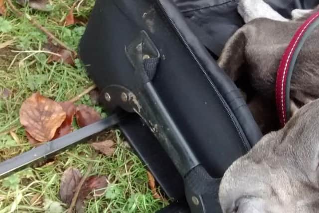 The dog dumped in Leeds