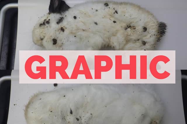 Rachel Louise Goodwin, 29,from Dewsbury, was convicted after four rabbits and two guinea pigs kept at her home were found dead.
