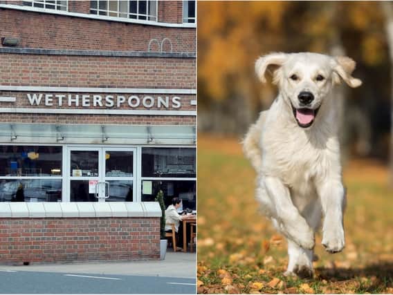 Wetherspoons has banned dogs in Leeds pubs from Monday