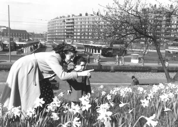 Leeds, 1957
Daffodils on railway banking, showing bus station and Quarry Hill flats.