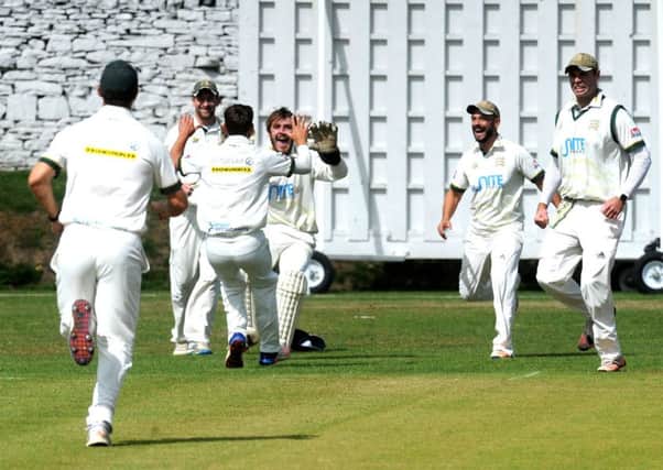 New Farnley players celebrate another wicket this season.