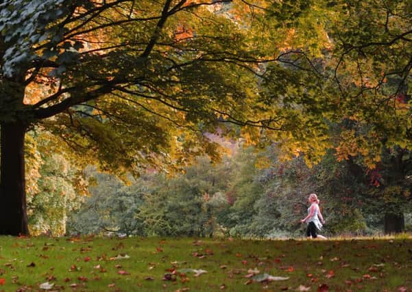 Autumn colours at Roundhay Park. PIC: Simon Hulme