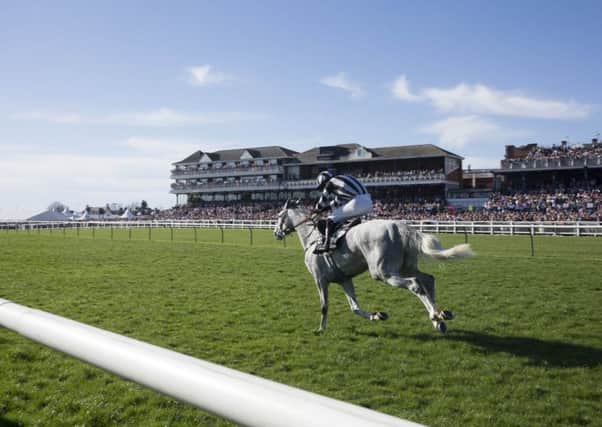 Ayr is where the action will be on Friday. PIC: Jeff Holmes/PA Wire