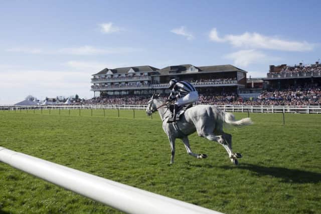 Ayr is where the action will be on Friday. PIC: Jeff Holmes/PA Wire