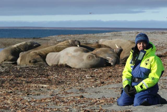 FROM BIN TO OCEAN: Wildlife biologist Liz Bonnin with a huddle of walruses on the Norwegian archipelago of Svalbard in the 90-minute BBC special Drowning in Plastic.