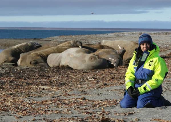 FROM BIN TO OCEAN: Wildlife biologist Liz Bonnin with a huddle of walruses on the Norwegian archipelago of Svalbard in the 90-minute BBC special Drowning in Plastic.