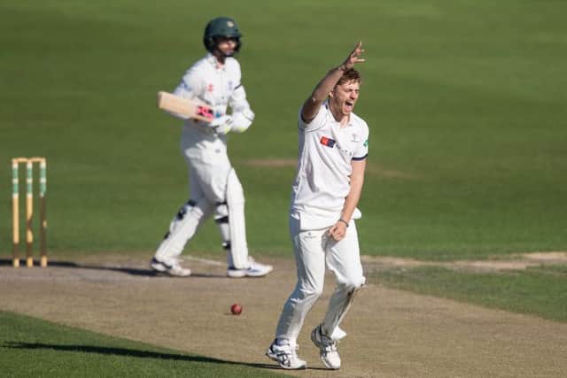 Yorkshire's Ben Coad traps Worcestershire's Ben Twohig lbw