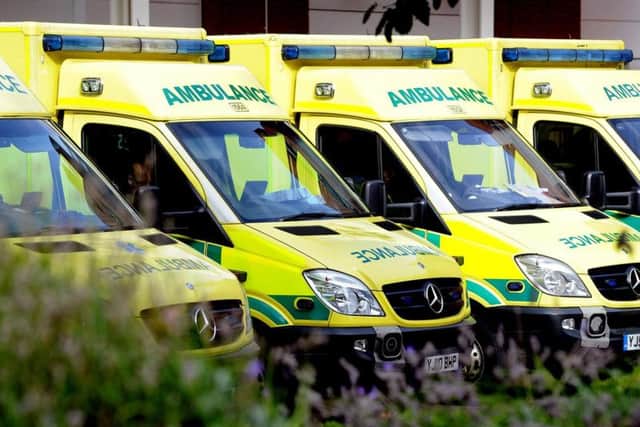 The body parts were found at a site in Yorkshire