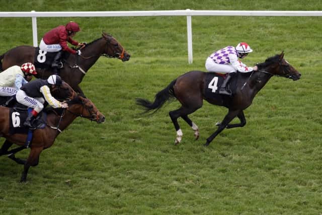 Harlequin Striker, ridden by Charles Bishop, winning the Dubai Duty Free Nursery back in September 2014. PIC: Steve Parsons/PA Wire