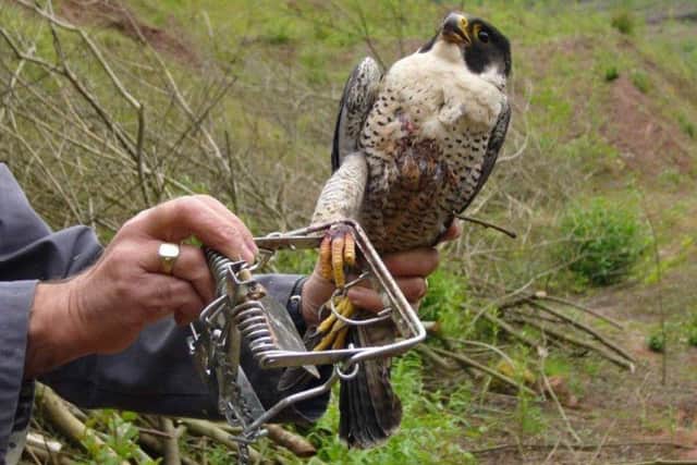 Leeds District Wildlife and Rural Crime Team will tackle issues such as animal cruelty and poaching. Picture: North Yorkshire Police