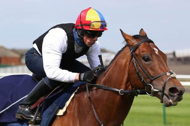 Cracksman, ridden here by Frankie Dettori on the gallops at Newmarket earlier this year. PIC: Nigel French/PA Wire