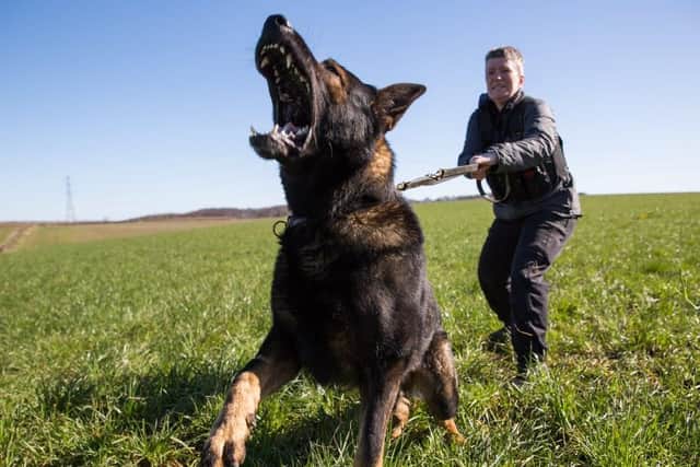 PC Lynne Fletcher and Patto.