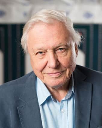 Sir David Attenborough, who has spoken about the "huge problem" of how to allow animals enough space as the human population encroaches on their habitats. PIC: PA