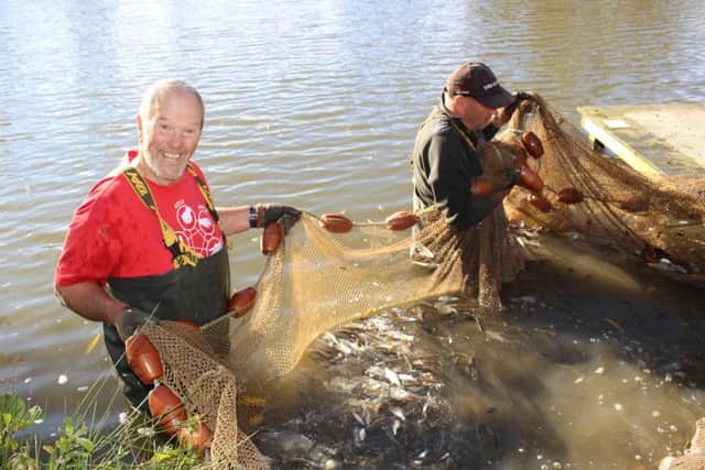 The grin confirms it was a successful cropping day for fish farmers Paul Clark and Dave Pollitt at Moor Monkton Pools. PIC: Steve Fearnley