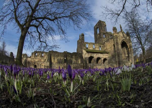 Date: 21St February 2017.
Pictured James Hardisty.
Cocuses in Kirkstall Abbey, Leeds.