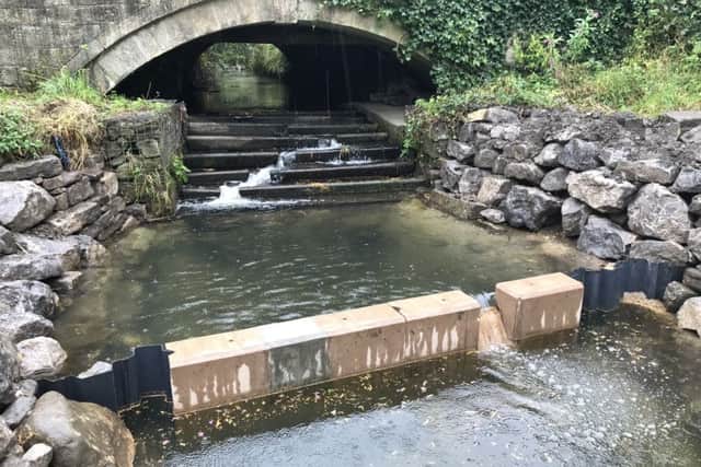 PROJECT: Fish easement at Guiseley Beck.