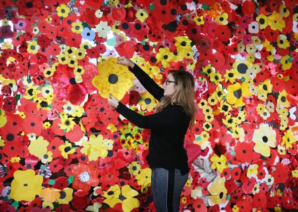 TRIBUTE: Robyn Carrack pictured with the display poppies made by community members. PIC: Jonathan Gawthorpe