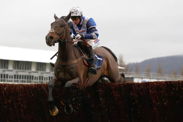 Frodon is top weight of 20 declared for tomorrows BetVictor Gold Cup Handicap Chase at Cheltenham. PIC: Julian Herbert/PA Wire