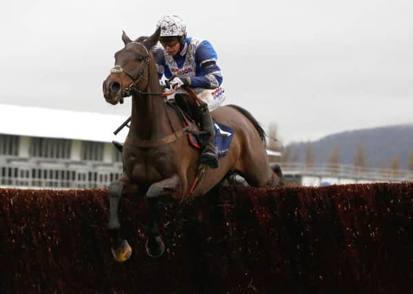 Frodon is top weight of 20 declared for tomorrows BetVictor Gold Cup Handicap Chase at Cheltenham. PIC: Julian Herbert/PA Wire