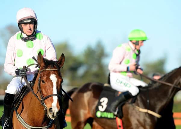 Faugheen and Ruby Walsh (left) after finishing second to Sharjah in the Unibet Morgiana Hurdle at Punchestown last Sunday. PIC: PA Wire