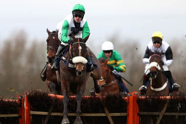 Vinndication needs some cut in the ground say connections. PIC: Tim Goode/PA Wire