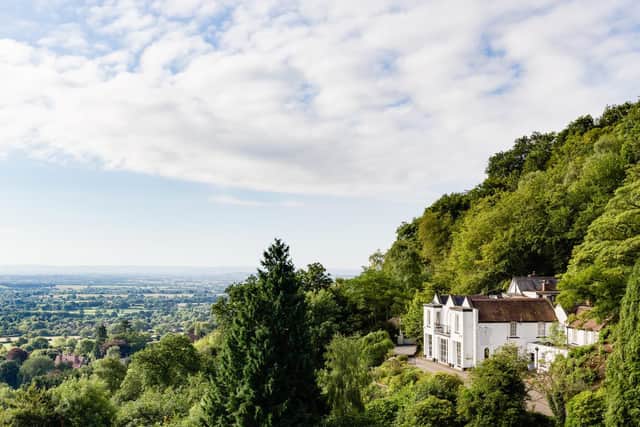 There's views aplenty from the Cottage in the Wood.