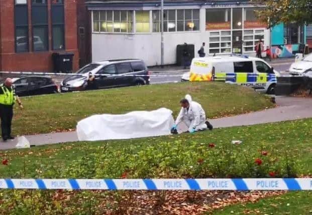 Photograph from the scene of the Lovell Park stabbing