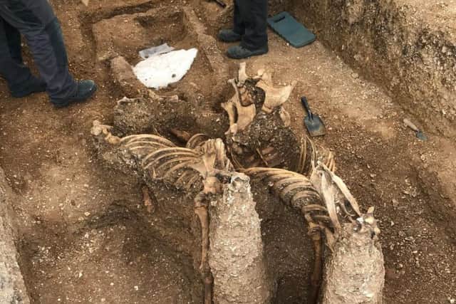 The horses had been buried upright - their heads were removed skulls were removed centuries ago