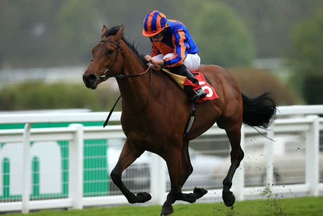 Stargazer is eyeing a long-term staying double. PIC: John Walton/PA Wire