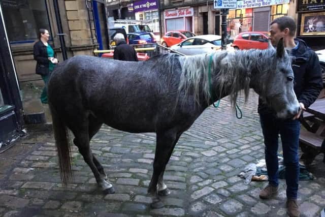 A horse was found outside a Sowerby bridge pub this morning.