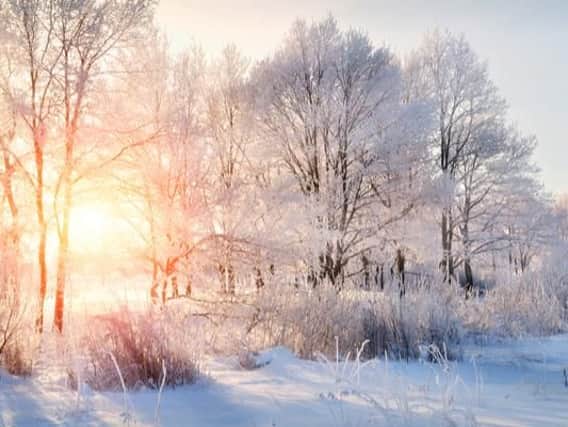 With temperatures plummeting in the UK this week and winter conditions becoming more prominent, many are speculating that this could be a result of a polar vortex
