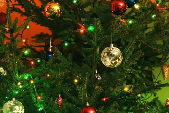 Where to recycle your Christmas tree in Leeds