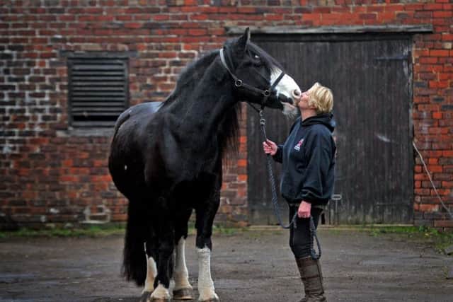 Catherine Meeson using the healing power of horses to cope with a breast cancer diagnosis.