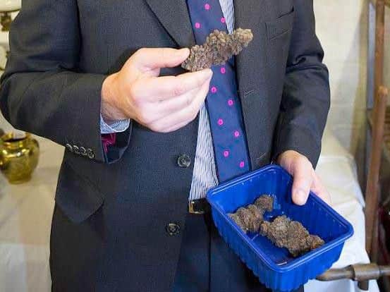 The 23-million-year-old dinosaur poo