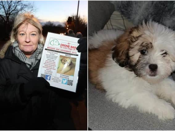 A vigil has been held amid fears of a dog snatching ring in Yorkshire