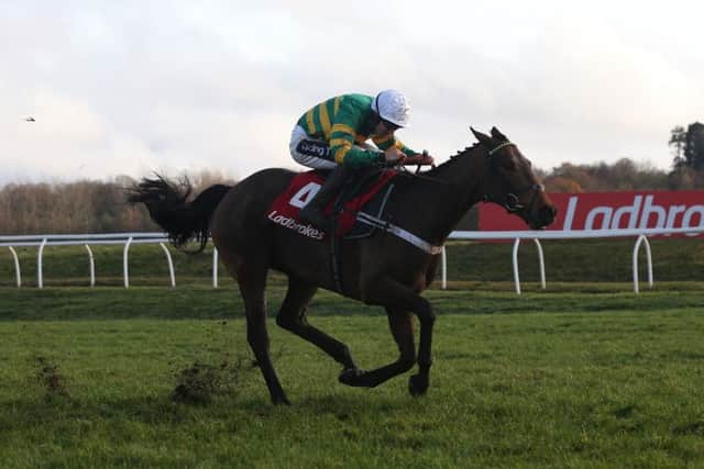 Nicky Henderson is considering sending Champ for Saturday's Ballymore Novices' Hurdle at Cheltenham. PIC: Julian Herbert/PA Wire