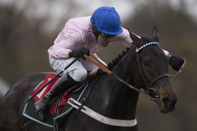 O O Seven, ridden here by Andrew Tinkler. PIC: Julian Herbert/PA Wire