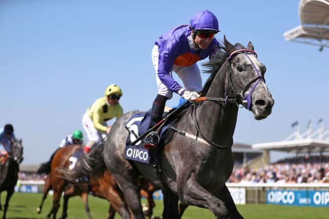 Grey Britain is in fine heart for the step up in trip at Lingfield. PIC: Tim Goode/PA Wire