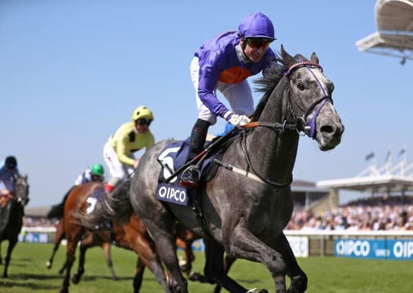 Grey Britain is in fine heart for the step up in trip at Lingfield. PIC: Tim Goode/PA Wire
