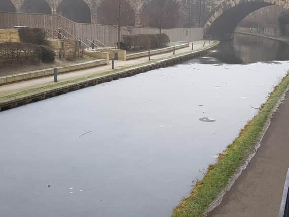 The canal has frozen due to the cold temperatures.