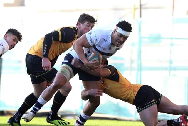 Carnegie's Elijah Niko.