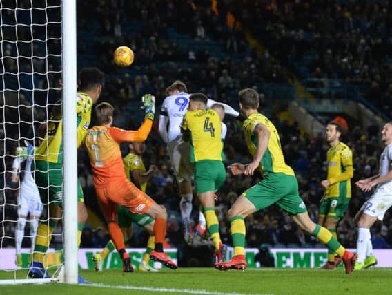 BACK IN BUSINESS: Patrick Bamford nets on his return against Norwich City.