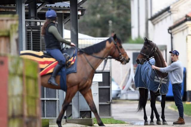 Out of the yard: Stable staff working at Kremlin House Stables, Newmarket.