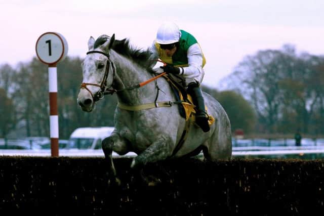 Vintage Clouds will carry the hopes of Yorkshire in this year's Grand National.