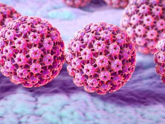 The human papillomavirus (HPV) is a type of virus that infects both the skin and the cells lining body cavities