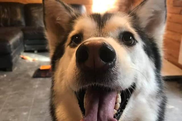 Moorview Rescue