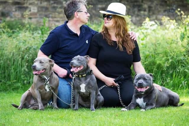 St John Lewis with partner Fay Dowson and their three beloved dogs.